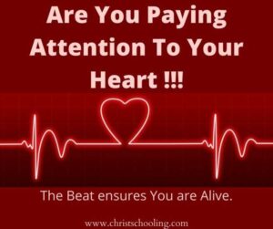 Pay Attention To Your Heart