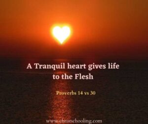 Tranquil Heart