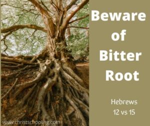 Beware of Bitter Root
